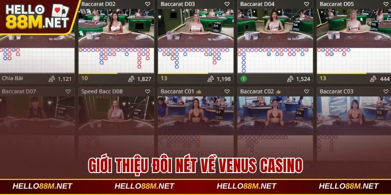 Giới thiệu đôi nét về Venus Casino