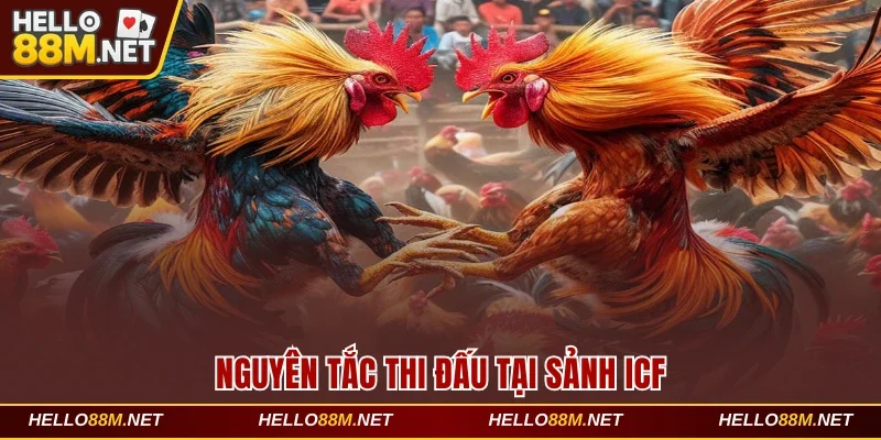 Nguyên tắc thi đấu tại sảnh ICF