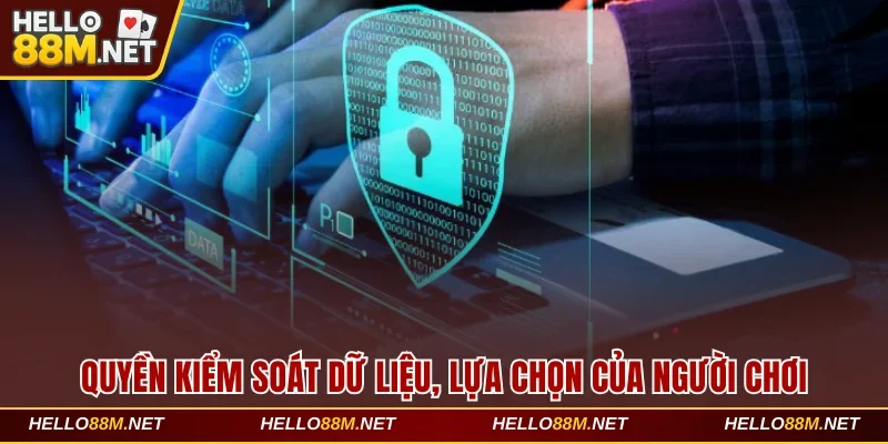 Quyền kiểm soát dữ liệu, lựa chọn của người chơi